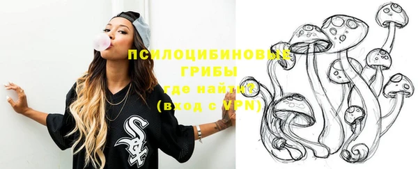 экстази Белокуриха