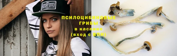 экстази Белокуриха