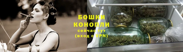 гашик Белоозёрский