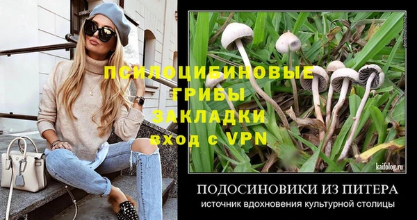 амф Беломорск