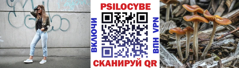 Галлюциногенные грибы прущие грибы  Сланцы 