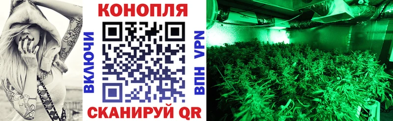 Бошки Шишки SATIVA & INDICA Сланцы